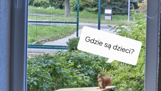 ADAPTACJA 1 wrzesień 2025